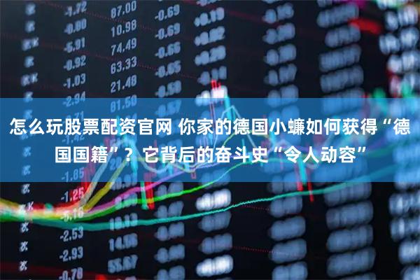 怎么玩股票配资官网 你家的德国小蠊如何获得“德国国籍”？它背后的奋斗史“令人动容”